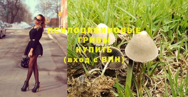 дурь Алзамай